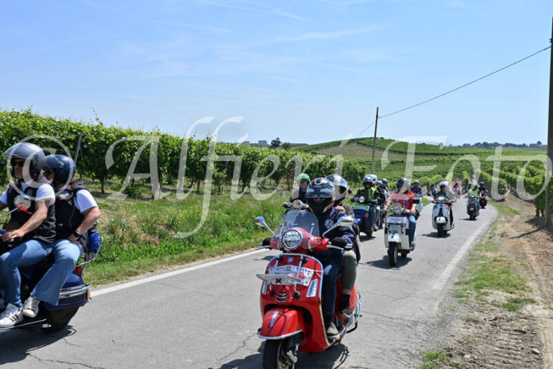 dsc_8795-standard-16rji6.jpg