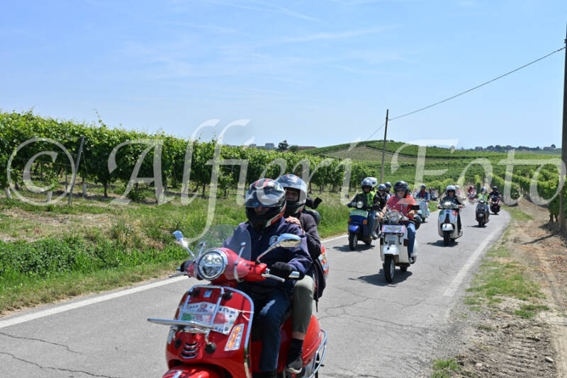 dsc_8796-standard-lijg4p.jpg