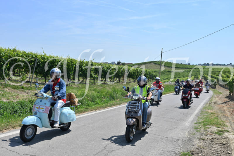dsc_8810-standard-72ewcu.jpg