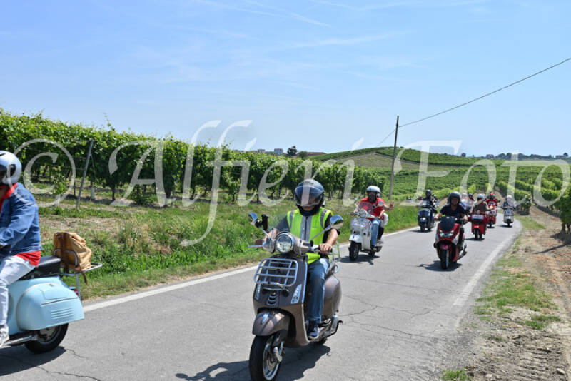 dsc_8811-standard-zfp5r1.jpg