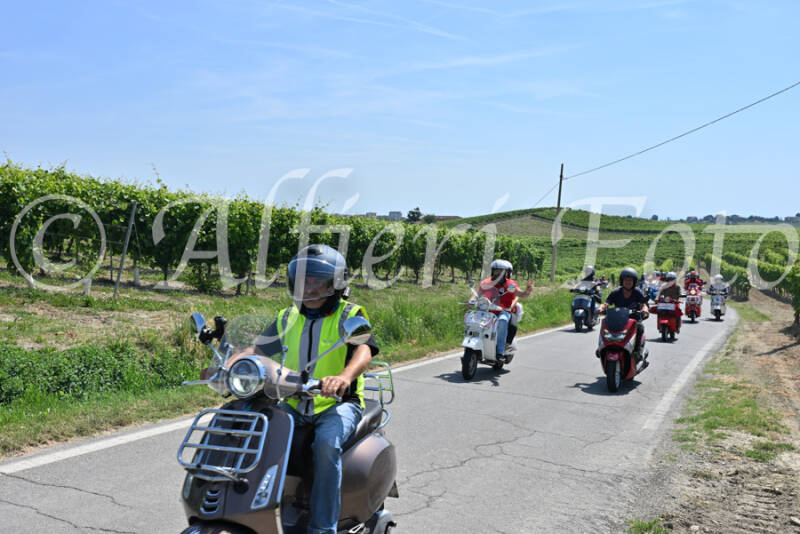 dsc_8812-standard-226v01.jpg