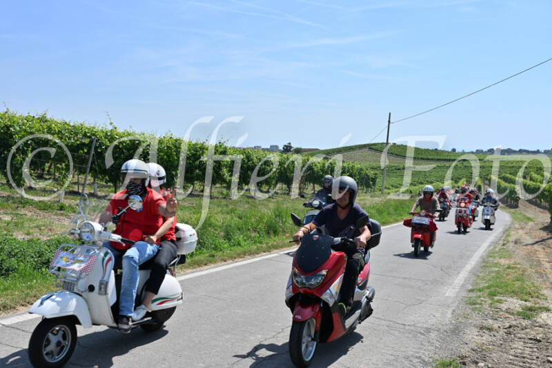 dsc_8817-standard-cgqxzr.jpg