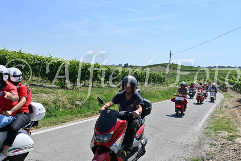 dsc_8818-standard-w2b52k.jpg