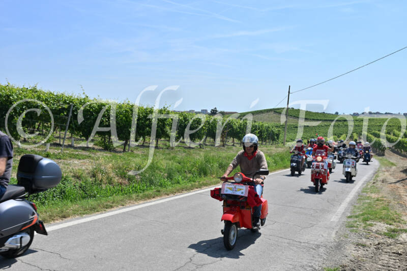 dsc_8822-standard-wpqvwx.jpg
