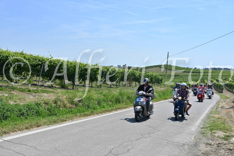 dsc_8835-standard-1ds8tt.jpg