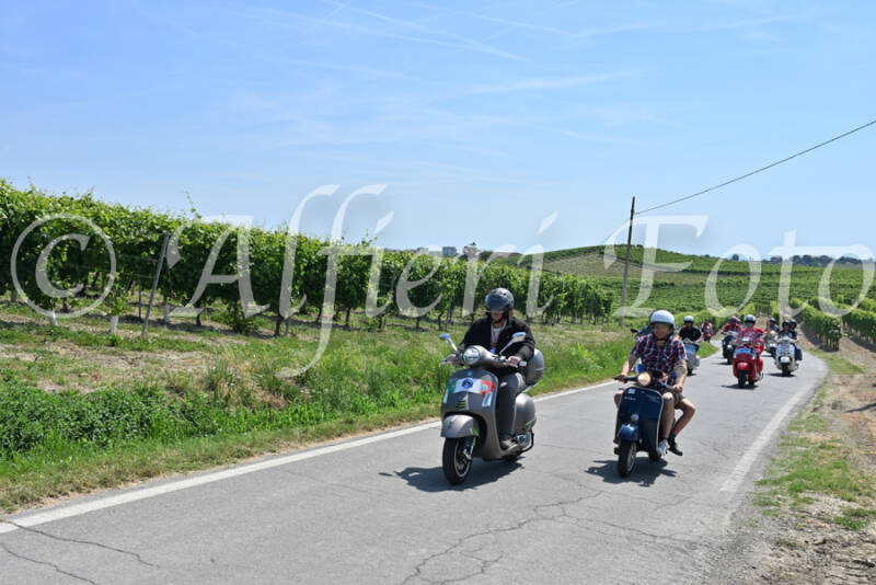 dsc_8836-standard-8vel2y.jpg