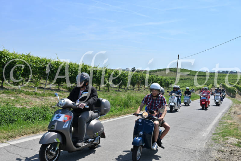 dsc_8838-standard-pvffym.jpg