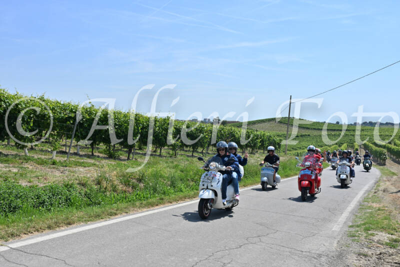 dsc_8842-standard-d4cyjc.jpg