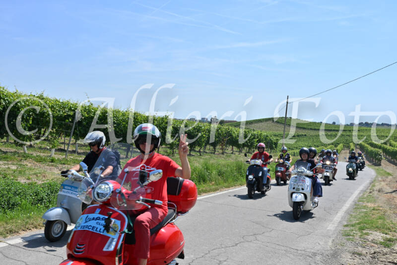 dsc_8848-standard-4mbizi.jpg