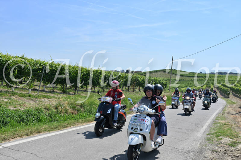 dsc_8851-standard-8mc1p7.jpg