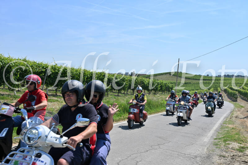 dsc_8853-standard-ctylwg.jpg