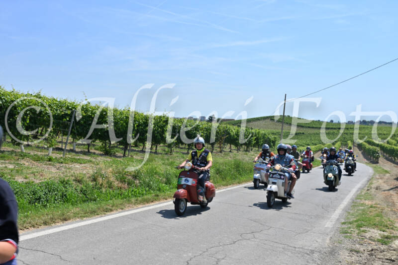dsc_8854-standard-69diyj.jpg