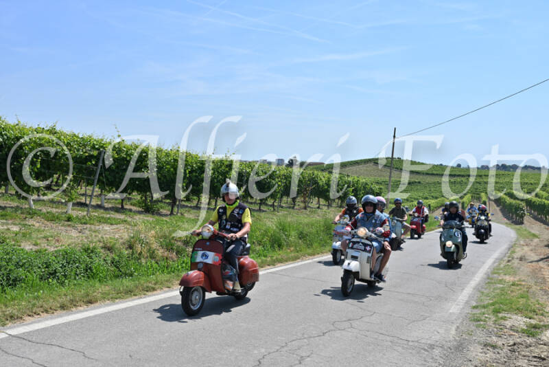 dsc_8855-standard-j8mwsn.jpg
