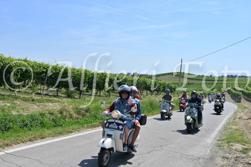 dsc_8858-standard-1baoq2.jpg