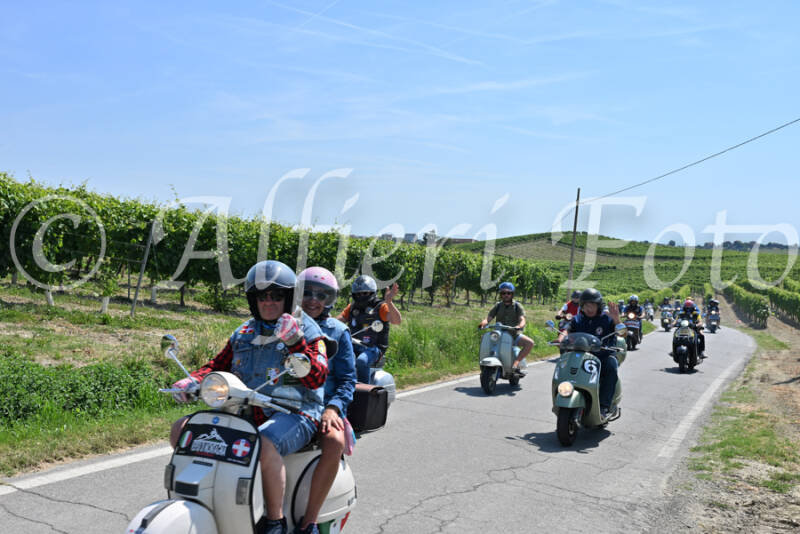 dsc_8859-standard-4svpuy.jpg