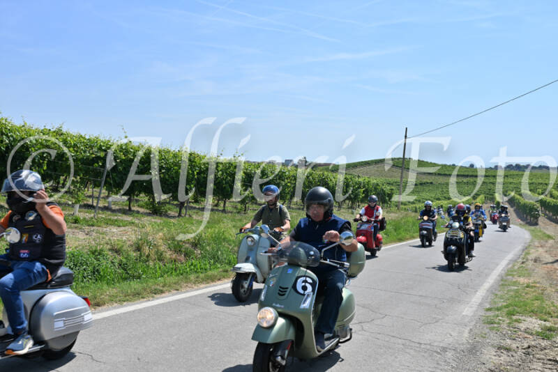 dsc_8862-standard-n0qg1g.jpg