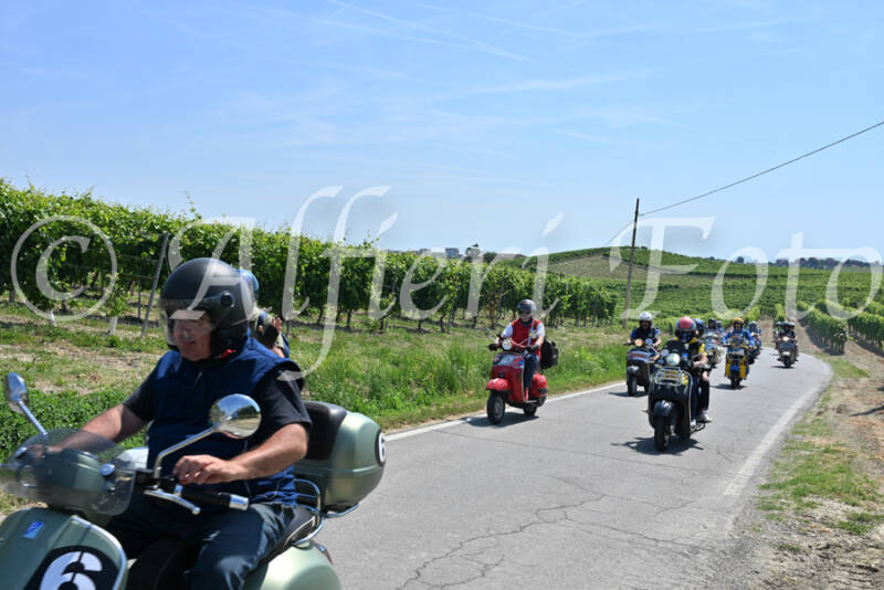 dsc_8864-standard-4qevwx.jpg