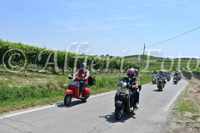 dsc_8867-standard-0qlmhx.jpg
