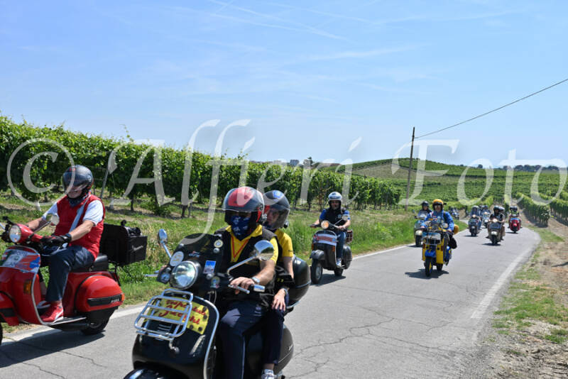 dsc_8869-standard-713np7.jpg