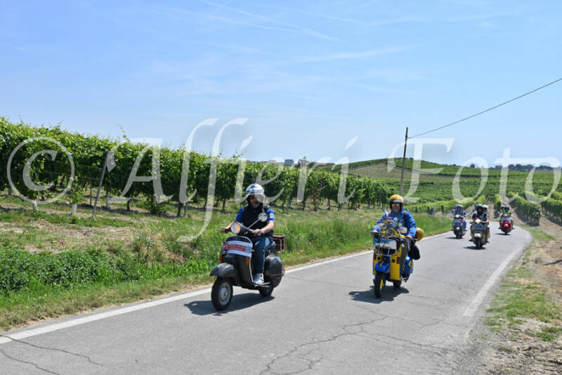 dsc_8871-standard-ac34ap.jpg
