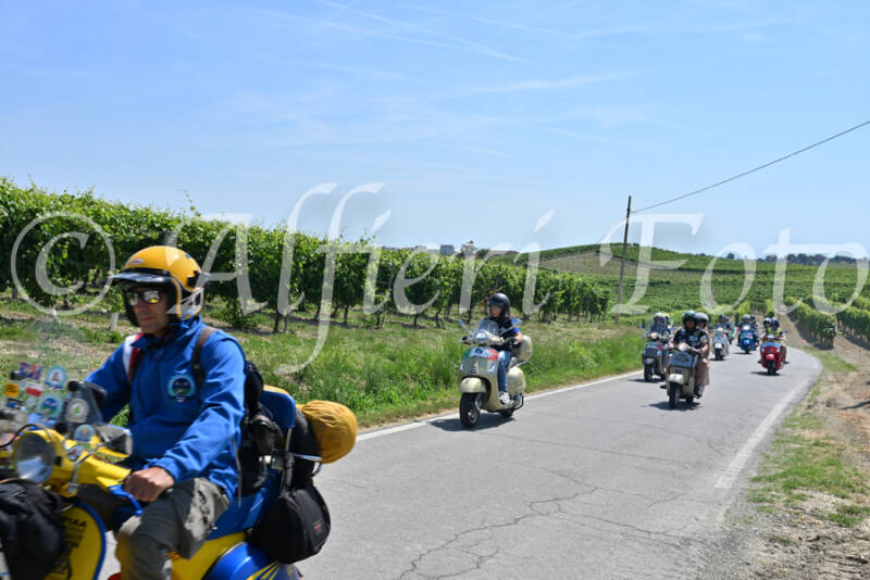 dsc_8875-standard-d3dgic.jpg