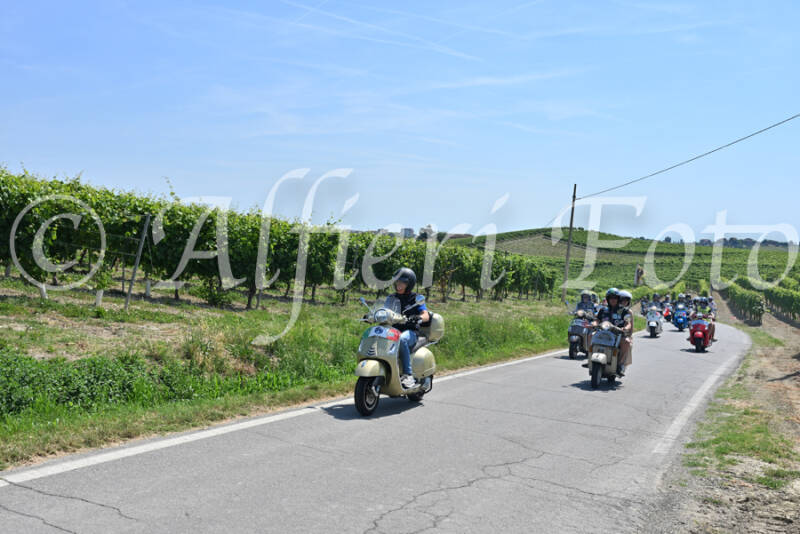 dsc_8876-standard-5cgsga.jpg