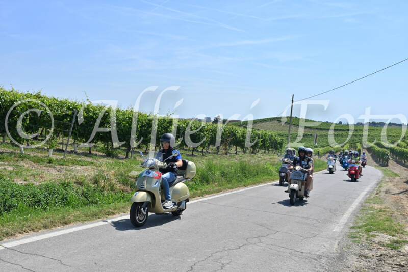 dsc_8877-standard-zq8m61.jpg