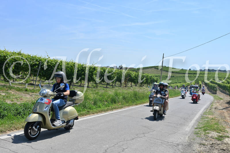 dsc_8878-standard-wpnfcj.jpg