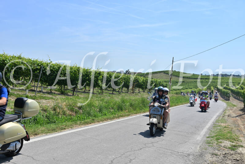 dsc_8879-standard-vjlt37.jpg
