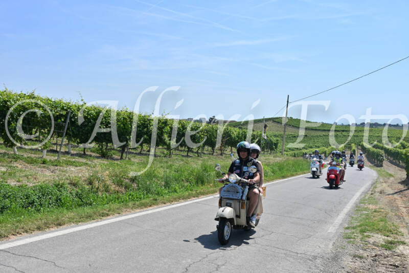 dsc_8880-standard-gverg7.jpg