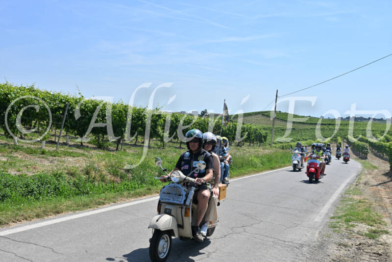 dsc_8881-standard-r6jqg3.jpg