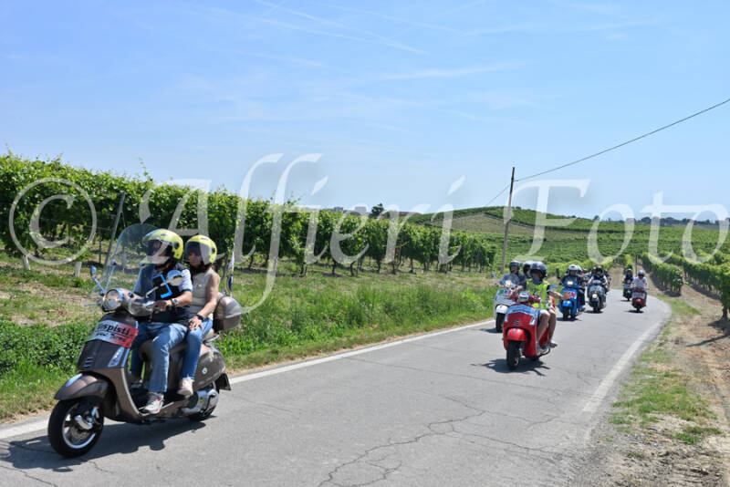 dsc_8884-standard-8c49vz.jpg