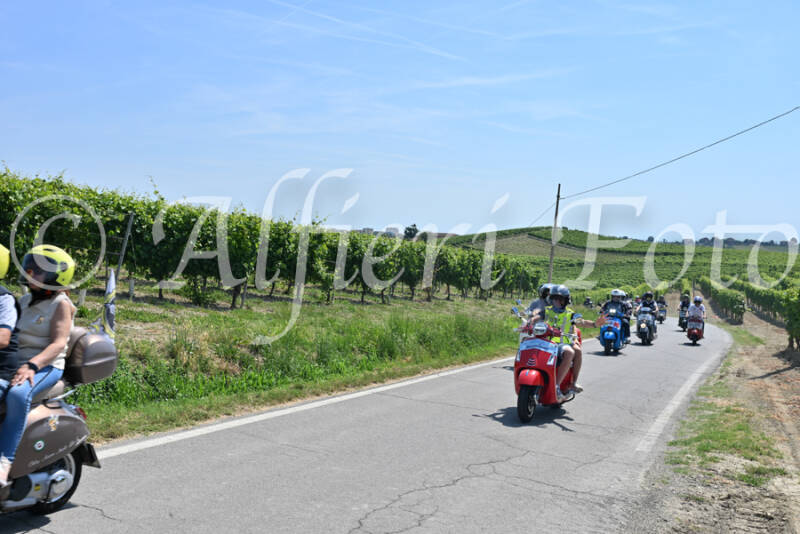 dsc_8885-standard-eptz8u.jpg