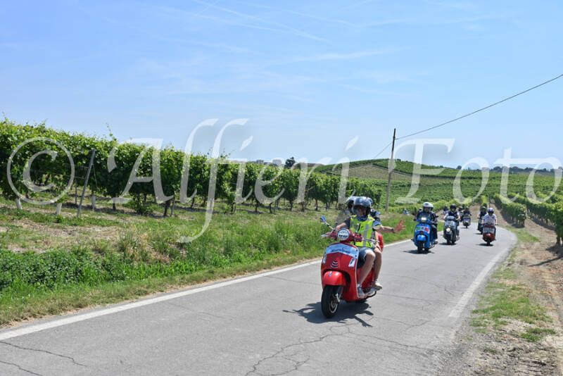 dsc_8886-standard-kkd3jr.jpg