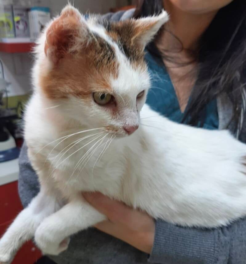 blanca-5-standard-15y0p6.jpg