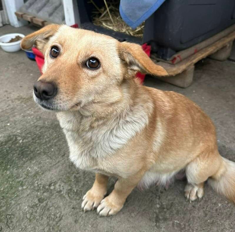 jenny-8-standard-qtyupu.jpg
