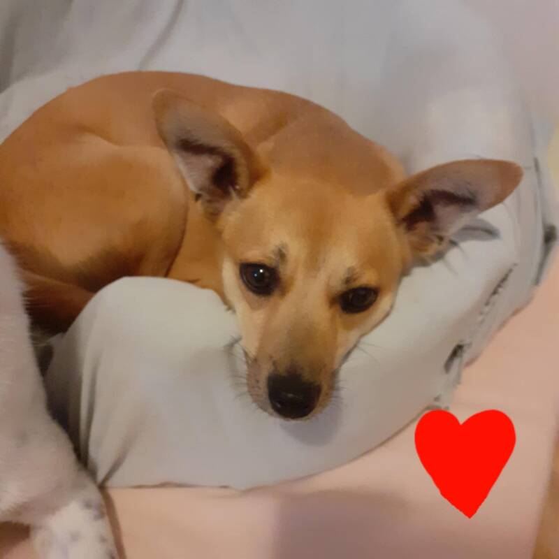 mimi-lilli-12-standard.jpg