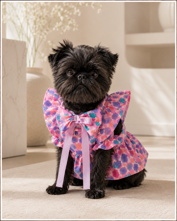 Blossom Belle™ Ruffled Princess Pet Dress