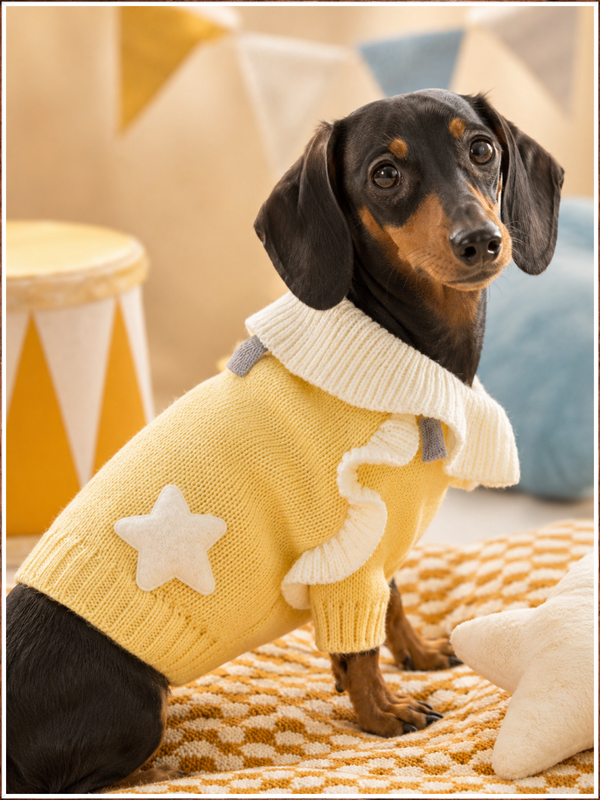 Sunshine Ruffle Boutique Pet Sweater