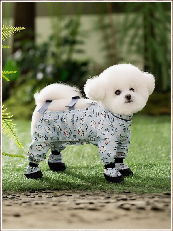 Cloud Paws Cozy Suit Petite & Cute Outfit