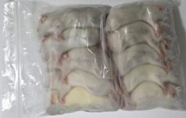 50g Rat - 10pcs/bag