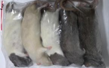300g Rat - 5pcs/bag