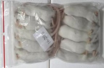 Mouse 16-20g - 10pcs/bag