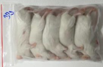 Mouse 30g - 5pcs/bag