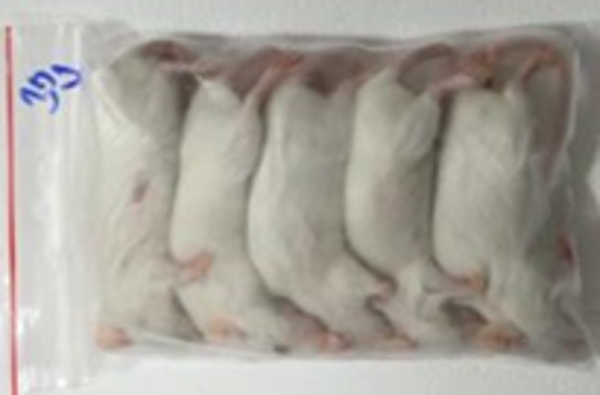 Mouse 30g - 5pcs/bag