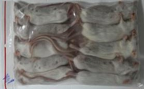 Mouse 40g - 10pcs/bag
