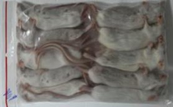 Mouse 40g - 10pcs/bag