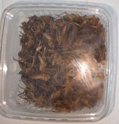 Crickets Box 0.5L