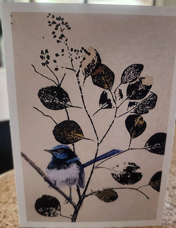 A6 card Superb Fairy Wren