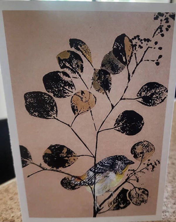 A6 card Spotted Pardalote